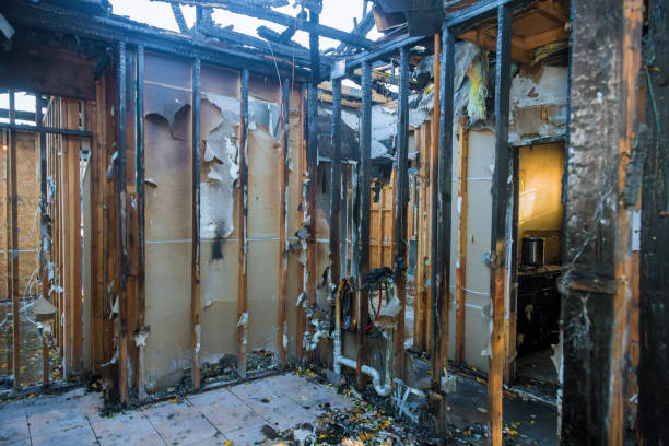 Professional Fire Damage Removal technician working in Richwood, OH